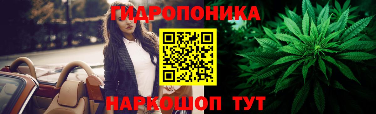 Шишки марихуана семена  Каннабис сатива  Артём  Вход с VPN  МАРИХУАНА OG Kush 